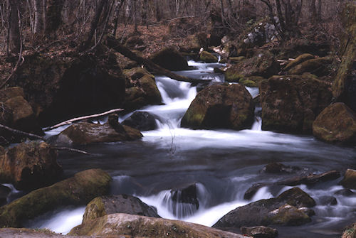 青森県04奥入瀬渓流