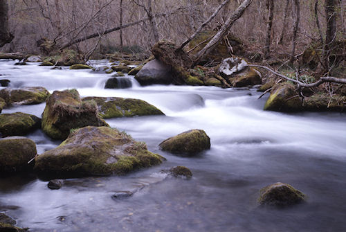 青森県07奥入瀬渓流
