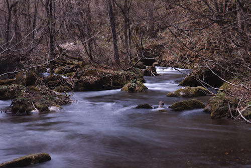 青森県08奥入瀬渓流