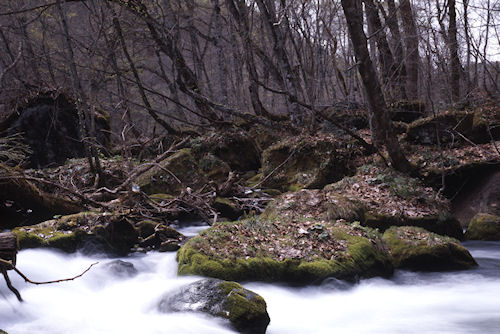 青森県10奥入瀬渓流