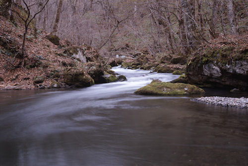 青森県11奥入瀬渓流