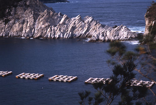 岩手県01浄土ヶ浜