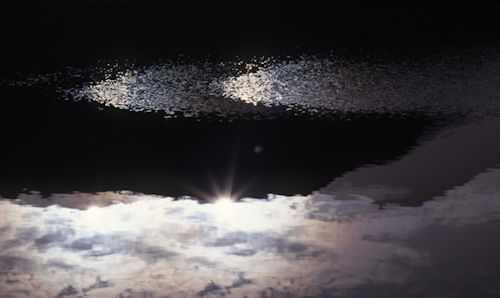 立山07みくりが池