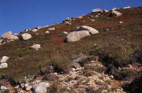 立山16地獄谷付近