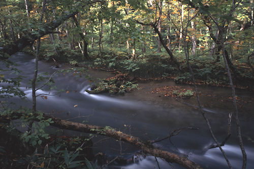奥入瀬渓流02
