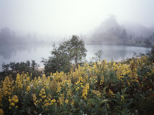 群馬09草津町 「弓池」