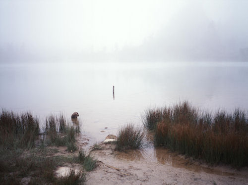 群馬10草津町 「弓池」