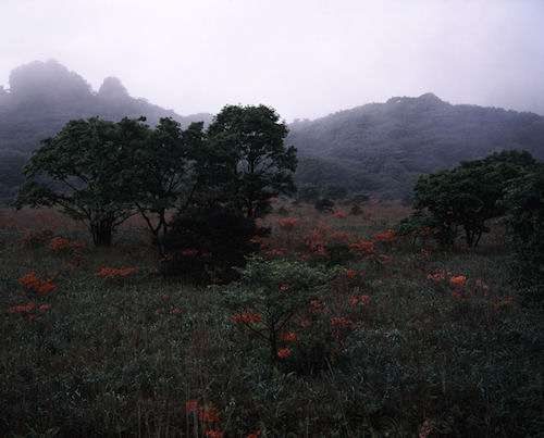 榛名湖周辺03つつじ