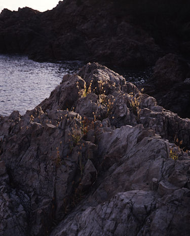 伊根・若狭湾43若狭湾