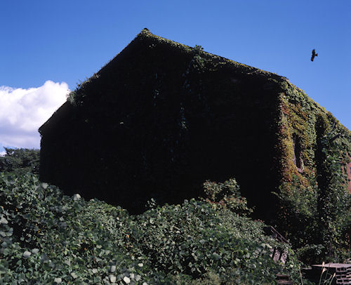 伊根・若狭湾46赤レンガ倉庫群