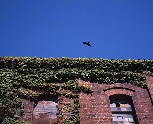 伊根・若狭湾49赤レンガ倉庫群