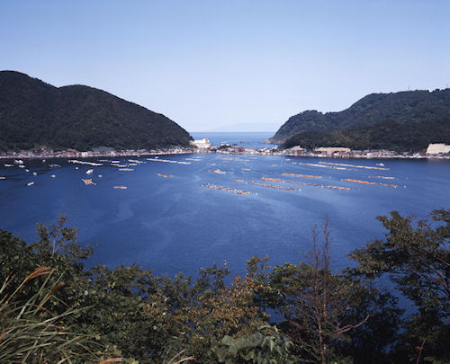 伊根・若狭湾56レインボーライン山頂公園