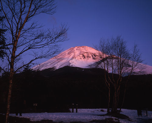 富士山