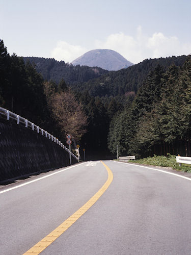 足柄桜17南足柄