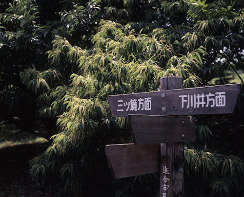 追分市民の森06