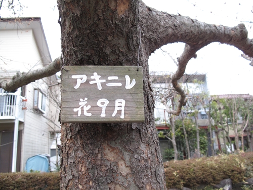 四季の森公園-15