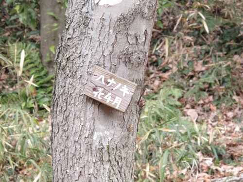 四季の森公園-17