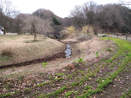 四季の森公園-20