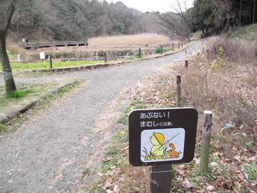 四季の森公園-22