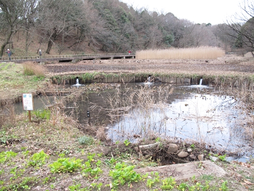 四季の森公園-23