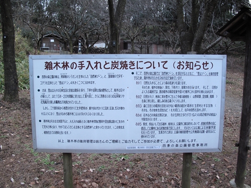 四季の森公園-28