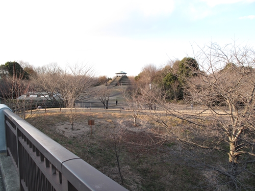 四季の森公園2日目-01