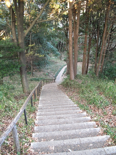 四季の森公園2日目-04