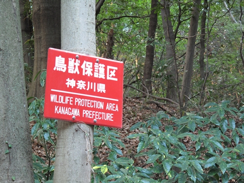 四季の森公園2日目-05