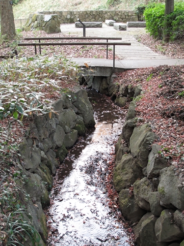 四季の森公園2日目-06