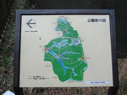 四季の森公園2日目-07