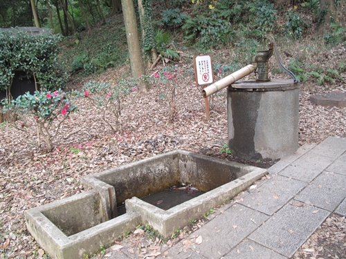 四季の森公園2日目-08