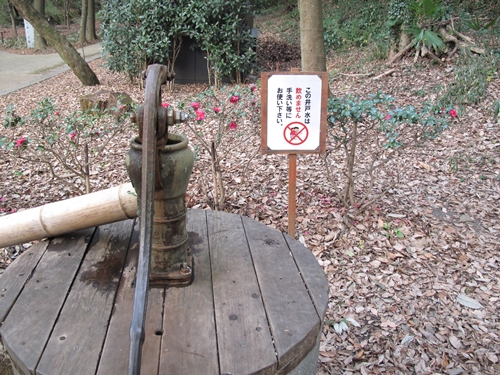 四季の森公園2日目-09