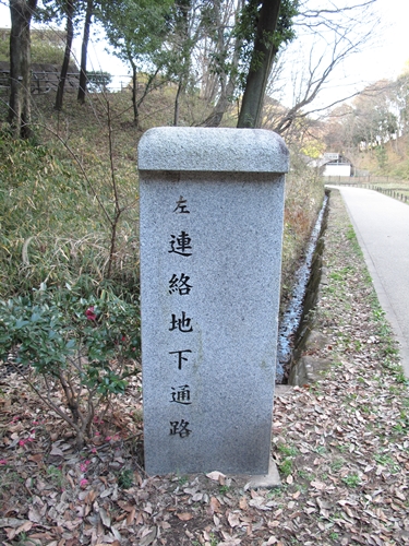 四季の森公園2日目-10