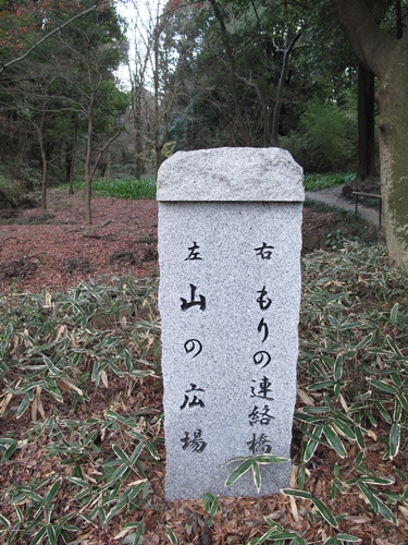 四季の森公園2日目-12