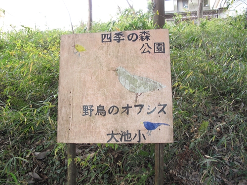 四季の森公園2日目-16