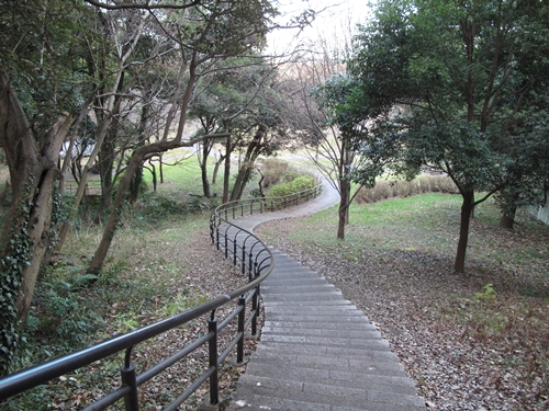 四季の森公園2日目-17