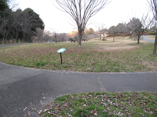 四季の森公園2日目-19