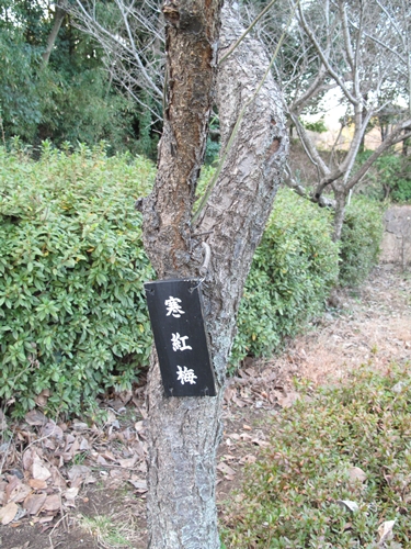 四季の森公園2日目-23