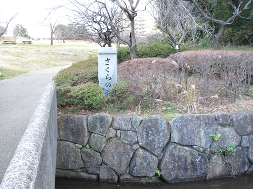 四季の森公園2日目-26