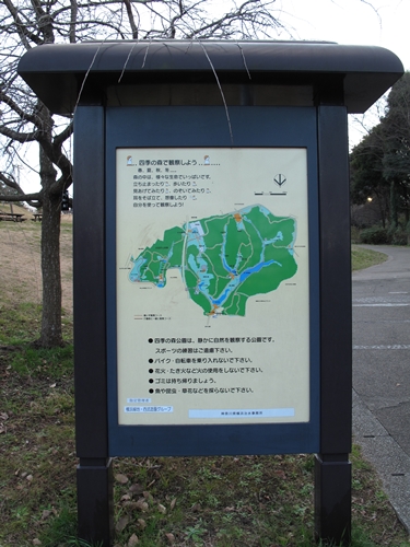 四季の森公園2日目-27