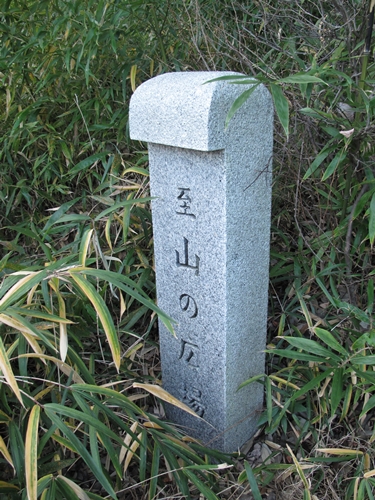 四季の森公園2日目-28