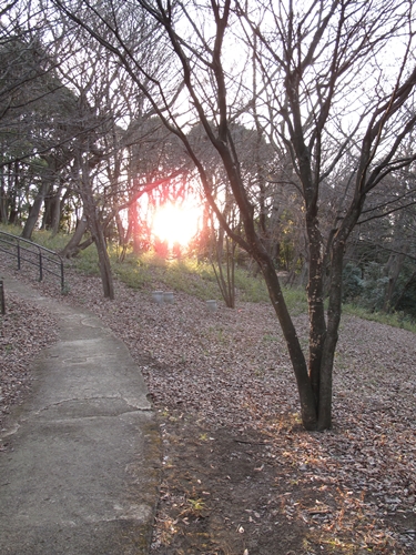 四季の森公園2日目-29