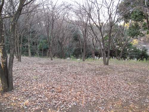 四季の森公園2日目-30