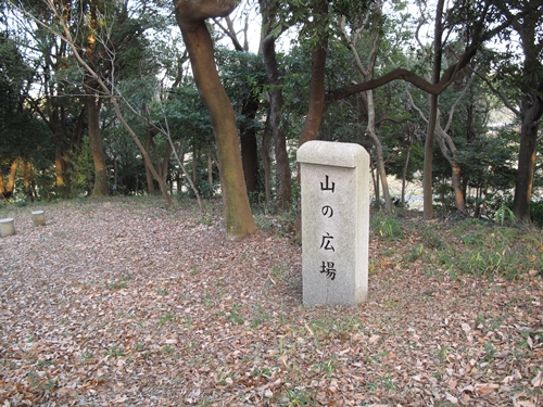 四季の森公園2日目-33