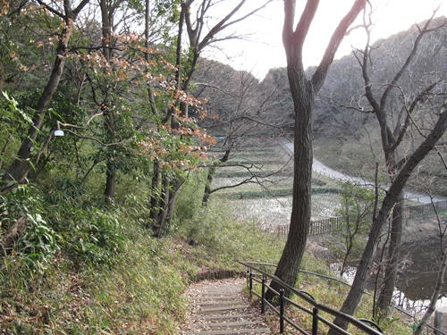 四季の森公園2日目-35