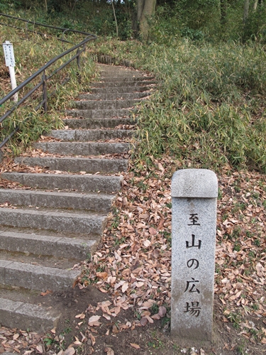 四季の森公園2日目-36