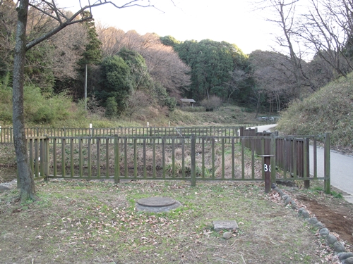 四季の森公園2日目-37