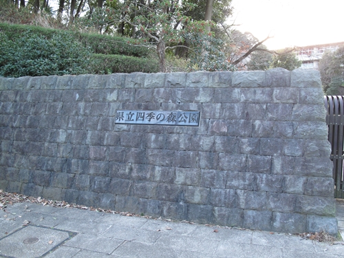 四季の森公園2日目-39