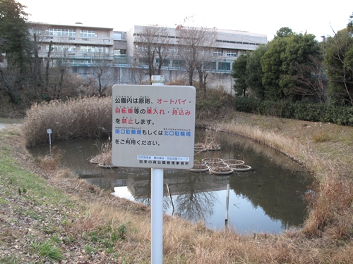 四季の森公園2日目-41