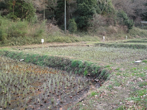 四季の森公園2日目-43